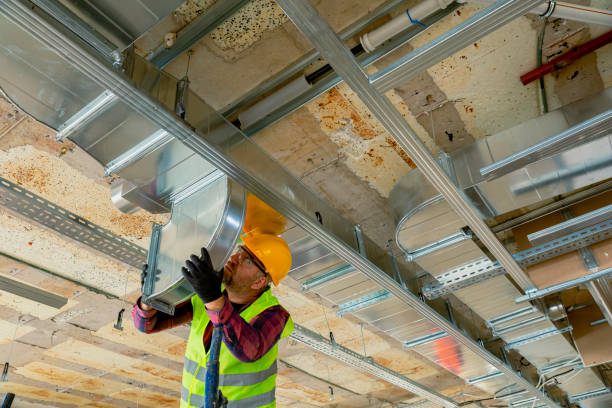 Best Air Filters and Purifiers in Mccullom Lake, IL